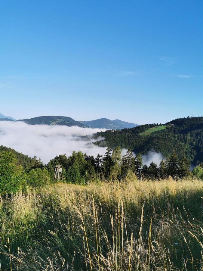 Villa Richterberg With Sauna & Hot Tub Slovenj Gradec Buitenkant foto
