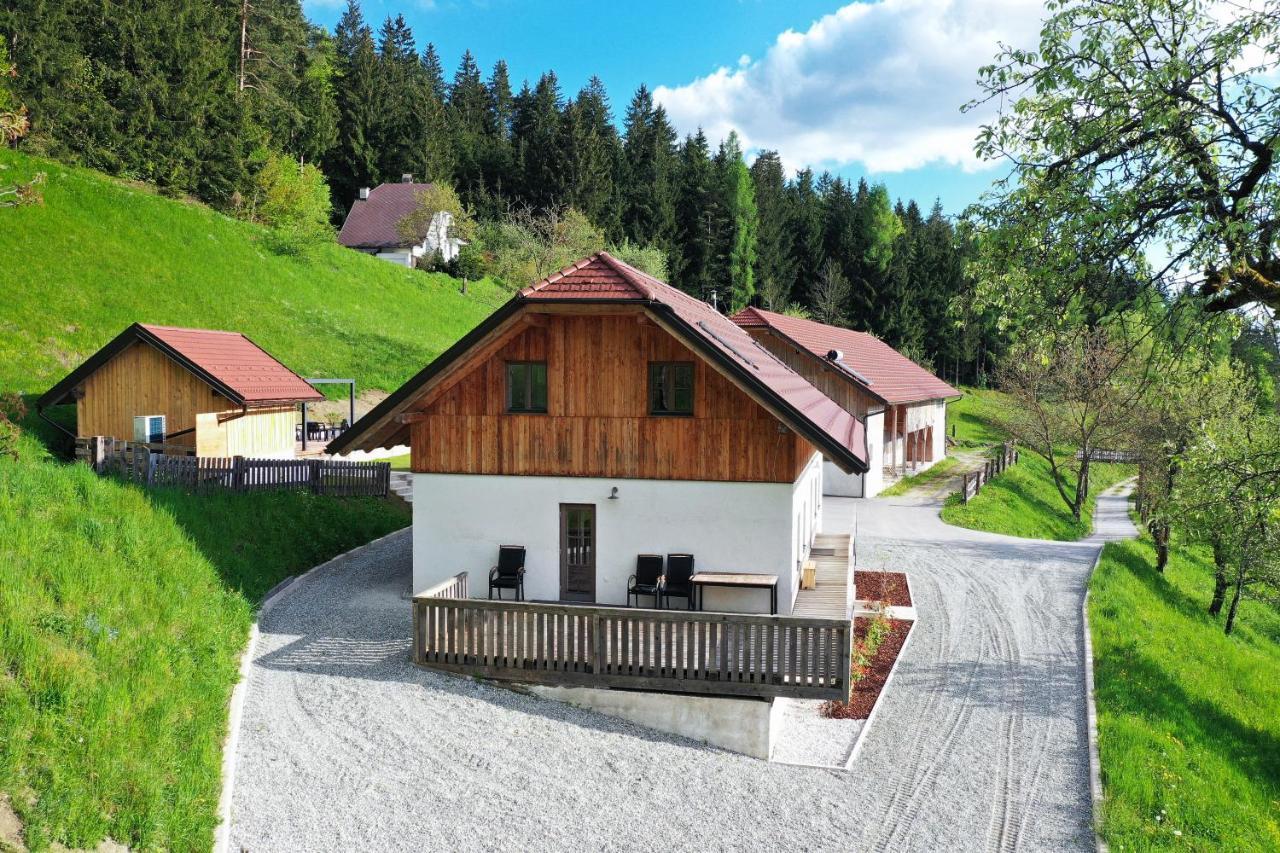 Villa Richterberg With Sauna & Hot Tub Slovenj Gradec Buitenkant foto