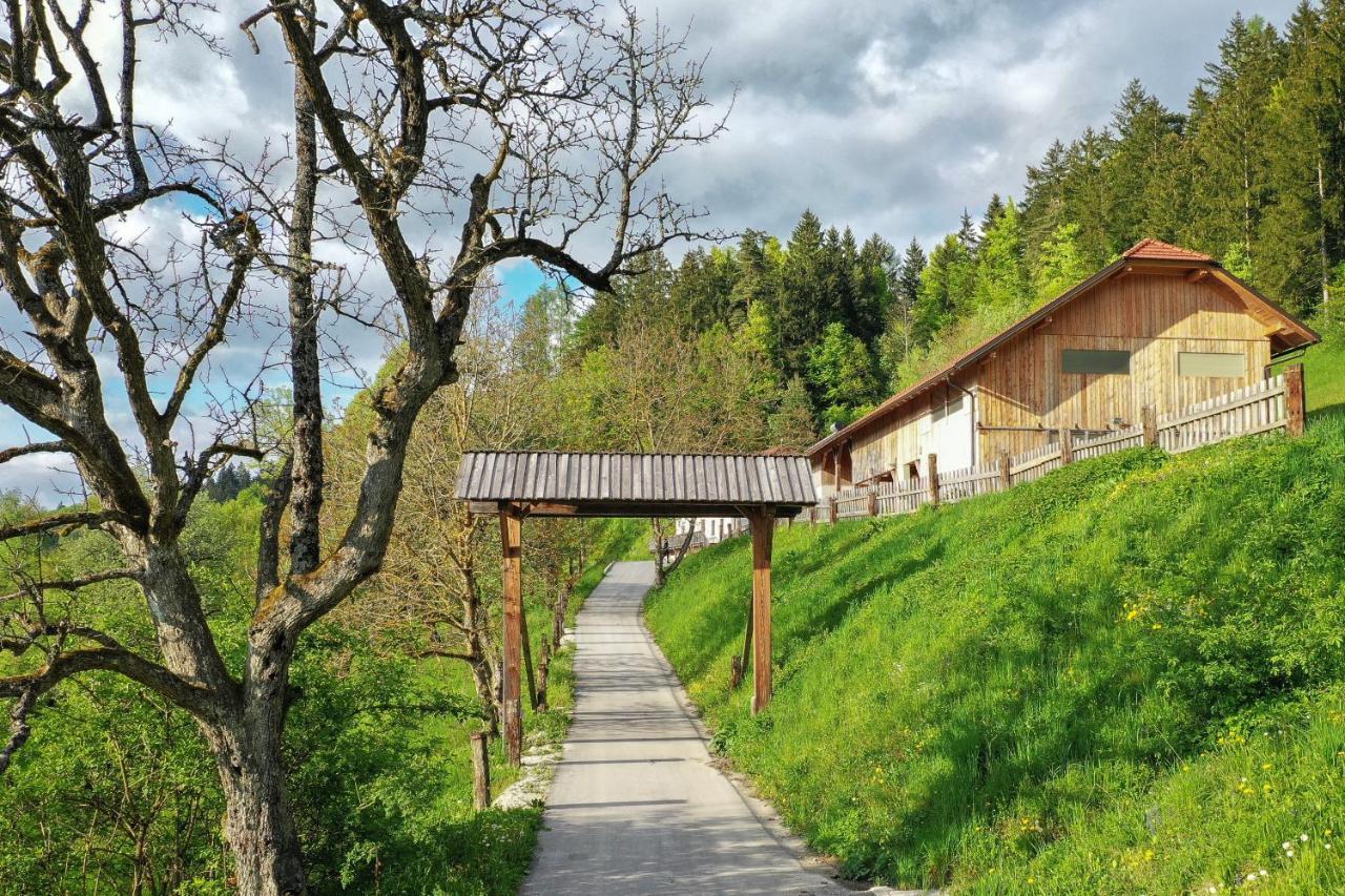 Villa Richterberg With Sauna & Hot Tub Slovenj Gradec Buitenkant foto